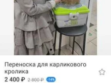 питомник миниатюрных кроликов Holistic Family в Набережных Челнах