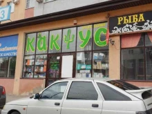 магазин нужных товаров Кактус в Ставрополе