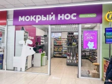 Мокрый нос, Радищева, 4 