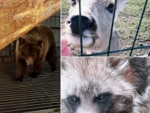 природный парк Юрибей в Тюмени