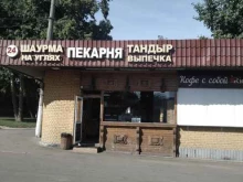 Магазин фастфудной продукции, улица Коновалова, 9 ст2 