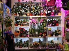цветочный магазин Цвет-ок в Якутске