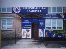 центр ритуальных услуг для животных Ветритуалсервис в Красноярске
