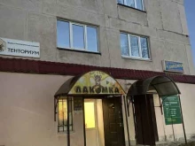 служба экспресс-доставки CDEK в Сатке