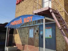 ветеринарная клиника Рыжий кот в Зеленогорске