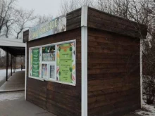 Киоск мороженого и безалкогольных напитков, остров Татышев, 27 киоск 