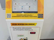 платежный терминал билайн в Владикавказе