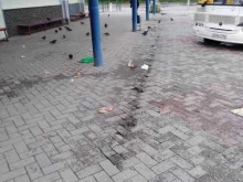 г. Бор Автостанция в Боре