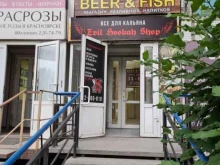 Ремонт электронных сигарет Evil H Shop в Красноярске