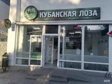 бар Кубанская лоза в Геленджике