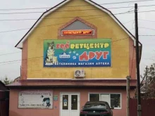 клуб любителей животных Кинолог плюс в Оренбурге