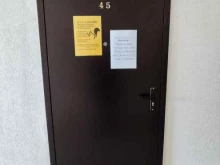 детская студия изобразительного искусства БелкаАрт в Перми